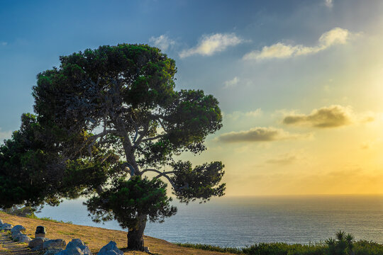 Coastal senic features of Rancho Pallas Verdes, California, USA