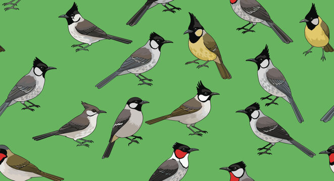 Beautiful seamless pattern featuring diverse crested bulbul bird species perched and looking around on a green background.
