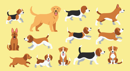 Fototapeta premium Vector illustration collection of different beagle dogs running, walking, and sitting on light yellow background.