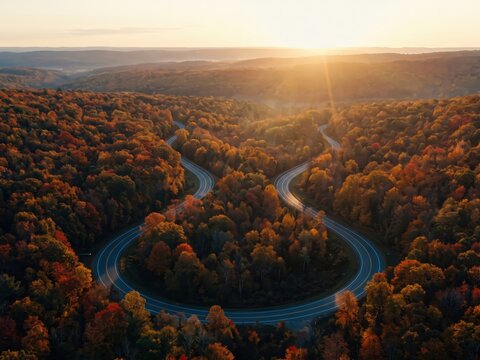 Autumn Forest Aerial View - Colorful Fall Landscape