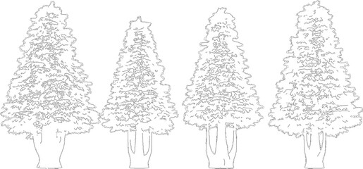 Four coniferous pine trees line art silhouette isolated on transparent background for forest landscape design © NT VIDEO