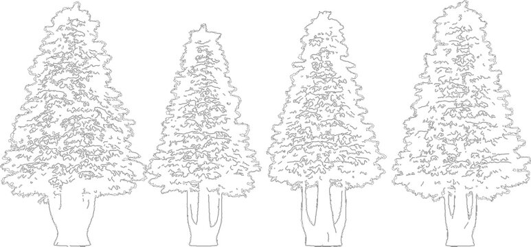 Four coniferous pine trees line art silhouette isolated on transparent background for forest landscape design