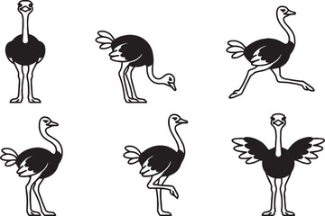 Obraz premium Set of ostriches. Hand drawn vector illustration