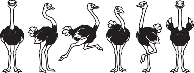 Fototapeta premium Set of ostriches. Hand drawn vector illustration