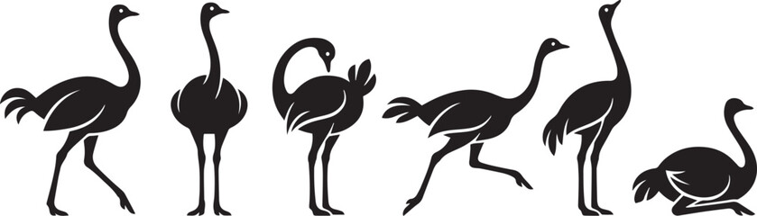 Fototapeta premium Set of ostriches. Hand drawn vector illustration