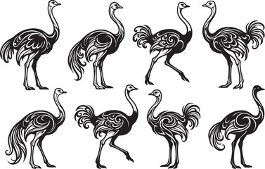 Fototapeta premium Set of ostriches. Hand drawn vector illustration