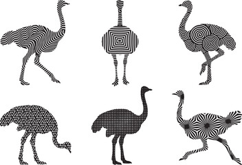 Fototapeta premium Set of ostriches. Hand drawn vector illustration