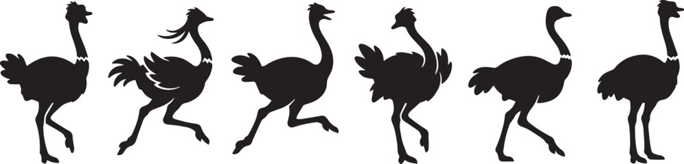 Fototapeta premium Set of ostriches. Hand drawn vector illustration