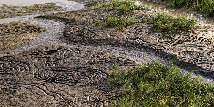 Muddy Riverbank with Ripple Patterns and Green Grass