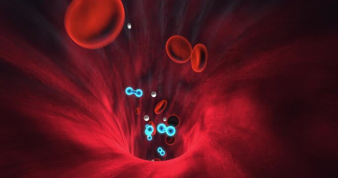Microscopic view of internal blood vessel with flowing red cells and oxygen. Science And Health Related 3D Animation.