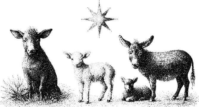 Engraved nativity animal set with star and lamb and ox for christmas banner background and religious holiday design