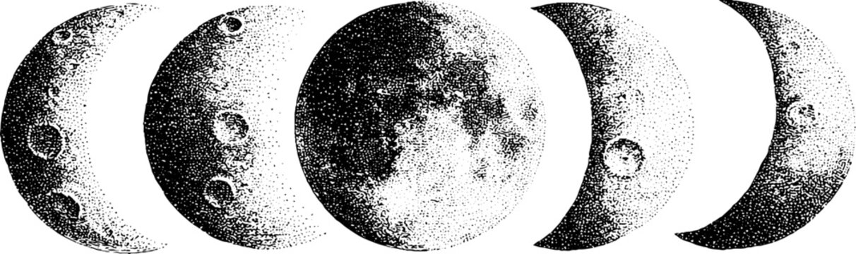 Lunar phase moon set with full moon and crescent stages in dot stipple series for celestial wallpaper and poster design