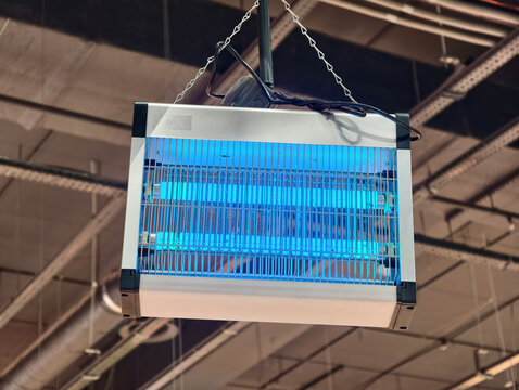 Electronic mosquito killer with UV light in retail store. Bug zapper lantern with UV trap is mounted in supermarket to control insects