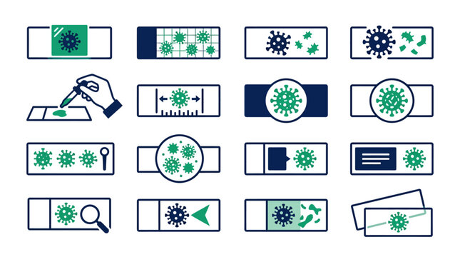Microscopic slides with virus and bacteria samples.