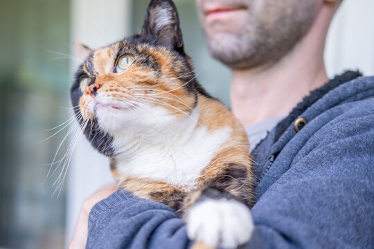 man holding calico cat, tortoiseshell feline, hugging pet and care, Human and animal bonding friendship, owner bonding, furry friend, animal lover, casual clothing, domestic kitten, warmth and trust