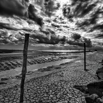 Cloudy sky over dry shore near La Rochelle with wooden posts during low tide in black and white