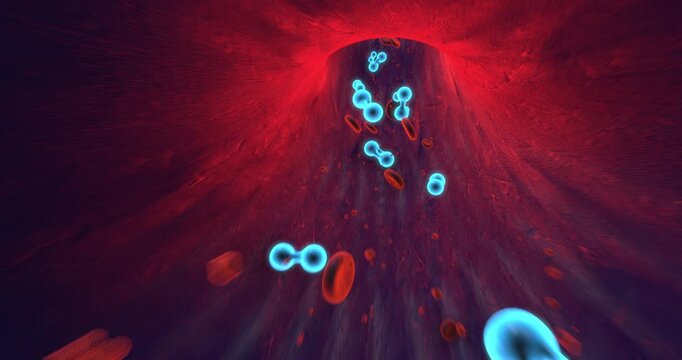 Microscopic view of biological blood stream with red cells white cells oxygen. Science And Health Related 3D Animation.