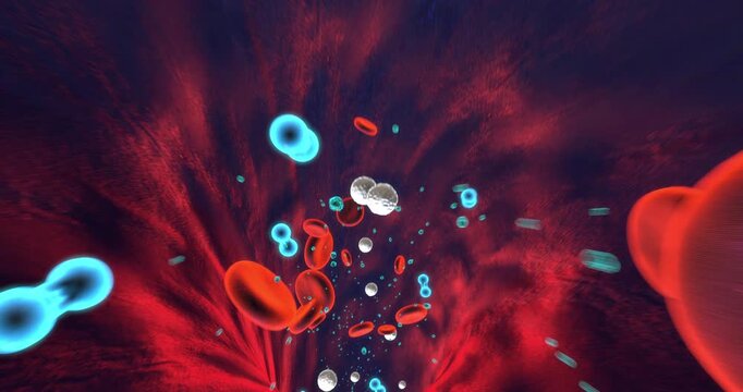 Medical 3D visualization of blood flow inside human vein with oxygen particles. Science And Health Related 3D Animation.