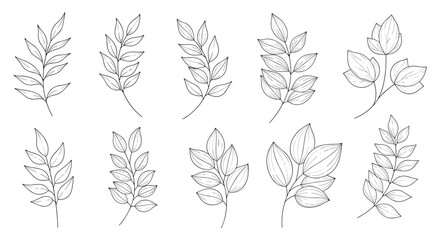 Obraz premium Set of ten hand drawn black and white leaf branch sketches with different foliage styles on a clean white background.