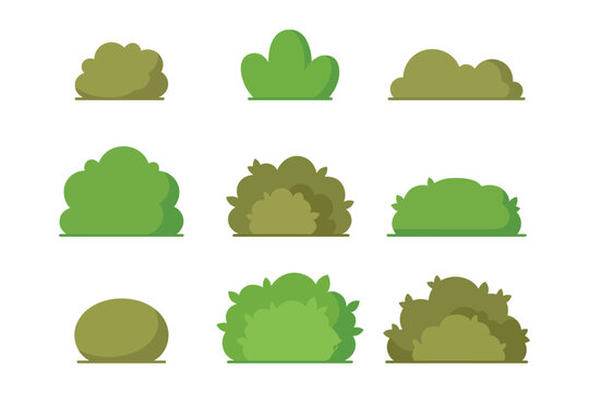 Collection of green garden bushes and shrubs vector graphic elements