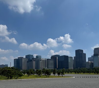 Modern glass office towers of a Tokyo business district rising behind manicured pine trees and a gravel plaza under a blue summer sky