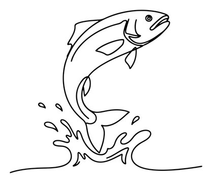 Jumping fish with water splash continuous line drawing, leaping salmon or trout vector illustration in minimal one line art style, dynamic aquatic animal movement outline
