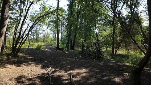 Barnack Hills and Holes, Barnack, Cambridgeshire, England, UK - 11th June 2026: Walking on the edge of the forest and past from cut logs  with warning signs on them