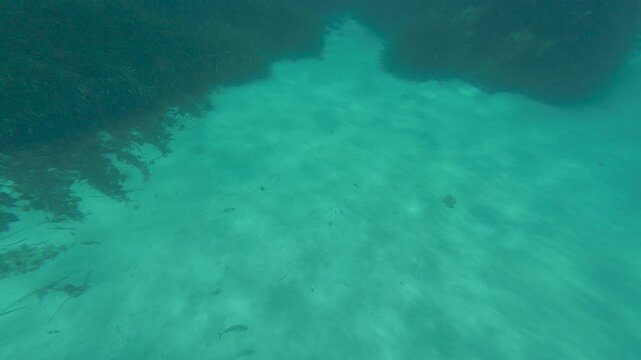 Clear turquoise ocean water revealing sandy seabed