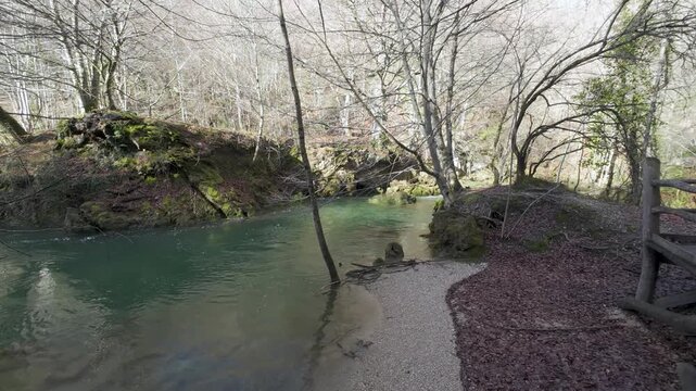 Clear emerald river flowing through winter forest