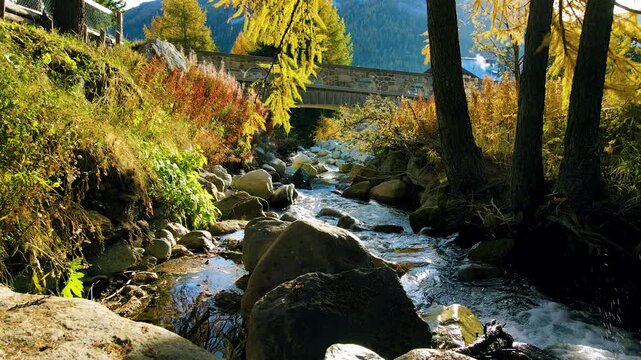 Slow motion lateral view of alpine creek in autumn