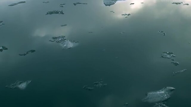 Countless crystalline ice shards, freshly calved from an Arctic glacier, journey slowly across the deep emerald waters. This captivating display highlights the silent beauty of the northern wilderness