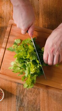 Cilantro parsley close up cut cutting coriander greens with knife aromatic texture macro traditional Asian and Mexican cuisine herb studio shot 