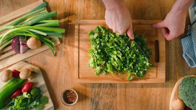 Cilantro parsley close up cut cutting coriander greens with knife aromatic texture macro traditional Asian and Mexican cuisine herb studio shot 