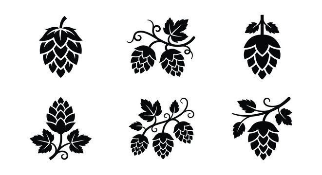 Hop Flowers And Vines Black Silhouette Vector Illustration On White Background