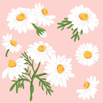 Vector watercolor daisy chamomile set. Hand drawn white flowers design elements with whole blossom, buds, green leaves