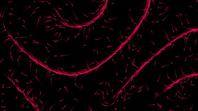 Abstract Kinetic Particle Flow Digital Aurora Background Animation