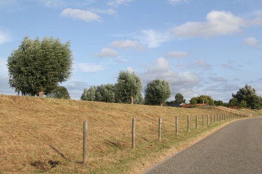 a beautiful rural landscape in the dutch countryside in zeeland summer of a dike with pollarded willows and a blue sky with clouds