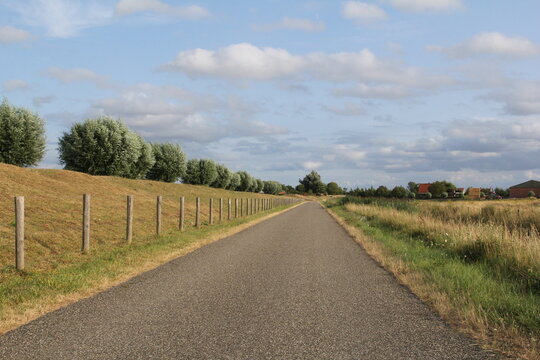 a country road next to a dike with a meadow and a fence and pollard trees in the dutch countryside in summer