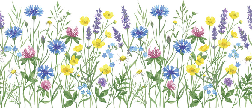 Seamless watercolor wildflower border pattern with blue cornflowers purple lavender yellow buttercups and pink clover for floral fabric and wallpaper designs