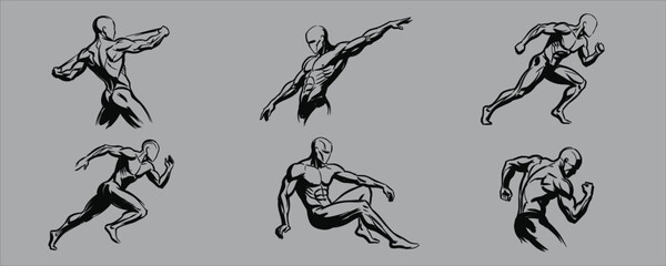 Fototapeta premium Male anatomy sketches ink brush style on a gray background