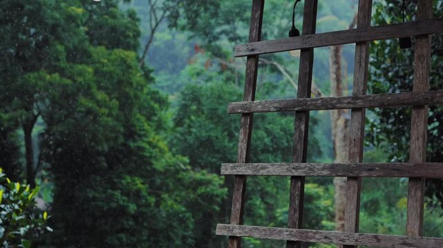 Rainfall over lush tropical rainforest viewed from rustic wooden terrace, jungle rain with wooden frame overlooking dense green forest landscape, slow motion 4k
