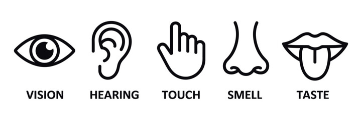 Five senses icon set with human sense organs and sensory perception symbols © CINCIN