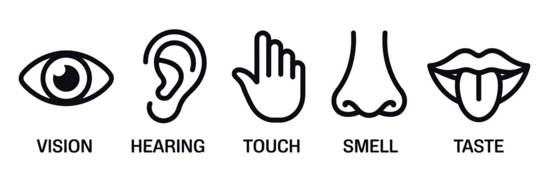 Five senses icon set with human sense organs and sensory perception symbols