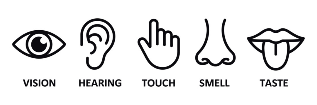Five senses icon set with human sense organs and sensory perception symbols