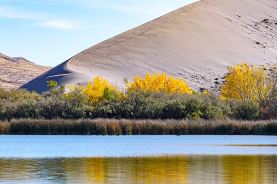 Bruneau Dunes State Park in fall