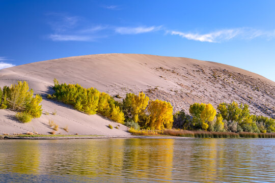 Fall colors at Bruneau Dunes State Park Idaho