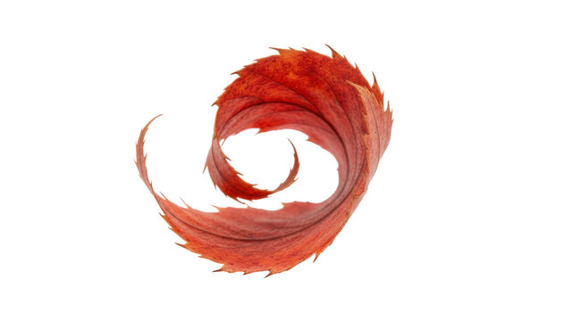 Abstract red watercolor brush swirl on white background, artistic paint stroke circle, minimal texture for design banners