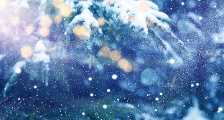 Obraz premium Snowy fir branches and bokeh lights in forest, banner design. Winter card