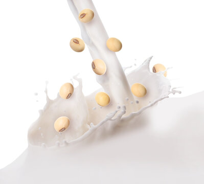 Soy milk splash with beans on transparent background