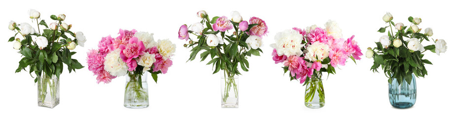 Obraz premium Bright peony flowers in vases isolated on white, set